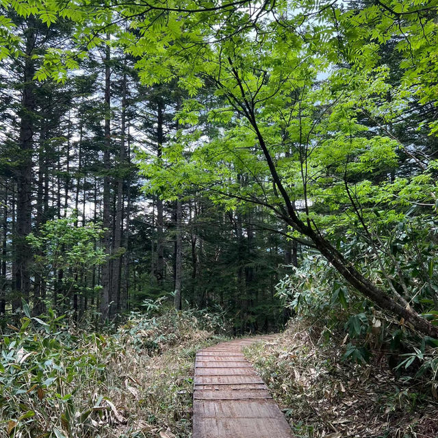 Nice自然公園：寧靜美景，享受快樂時光