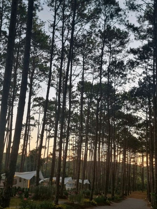 เที่ยวสวนสนน่าฝน นอนบนรถบ้าน - เชียงใหม่
