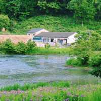 烏山頭水庫親水公園～寧靜祥和