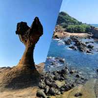 【臺北親子遊】野柳風景區：優美地質景觀，適合全年遊玩