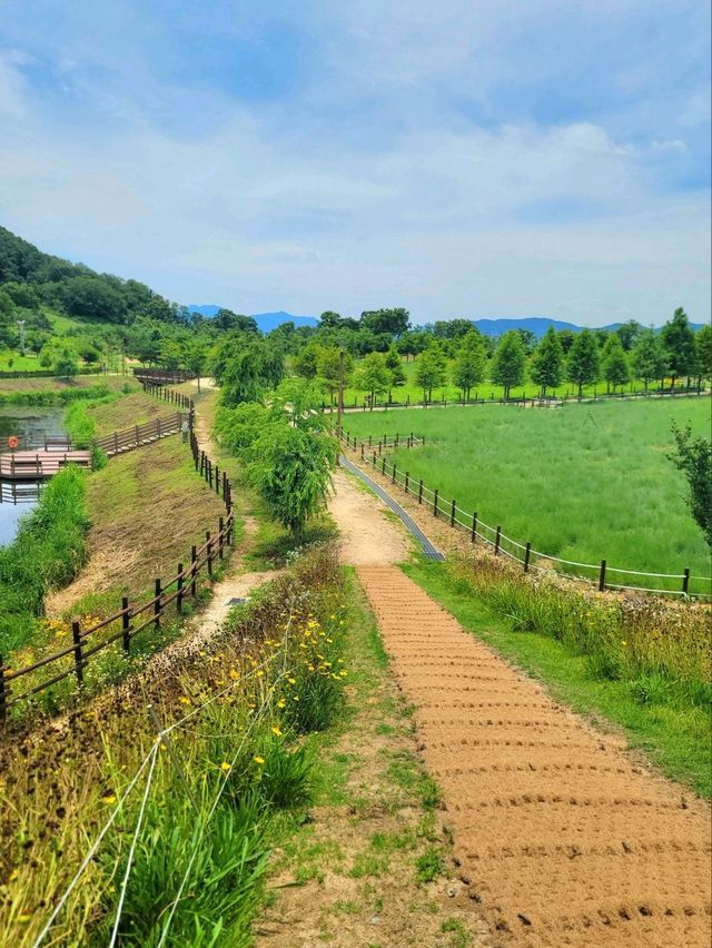 초록 싱그러운 함안 대표 생태공원🌿