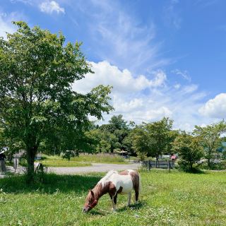 Family Farm in Furano, Hokkaido