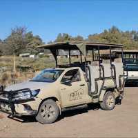Wild Adventure: Aquila Safari Soars to New Heights