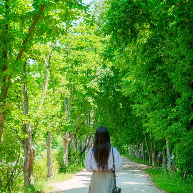 외나무다리와 시원한 숲길을 따라 산책해요.