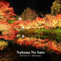 Nabana no Sato Winter 