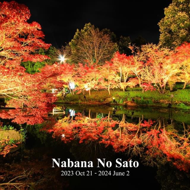 Nabana no Sato Winter 