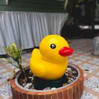 🌿Coco Duck Cafe