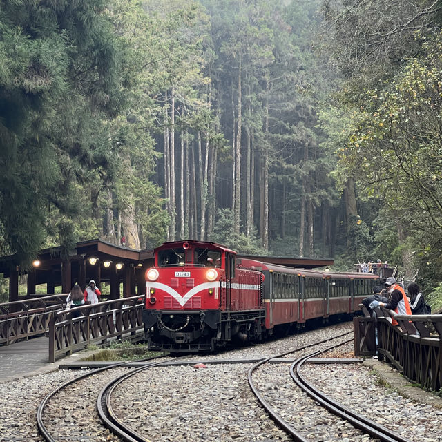 Alishan Taiwan
