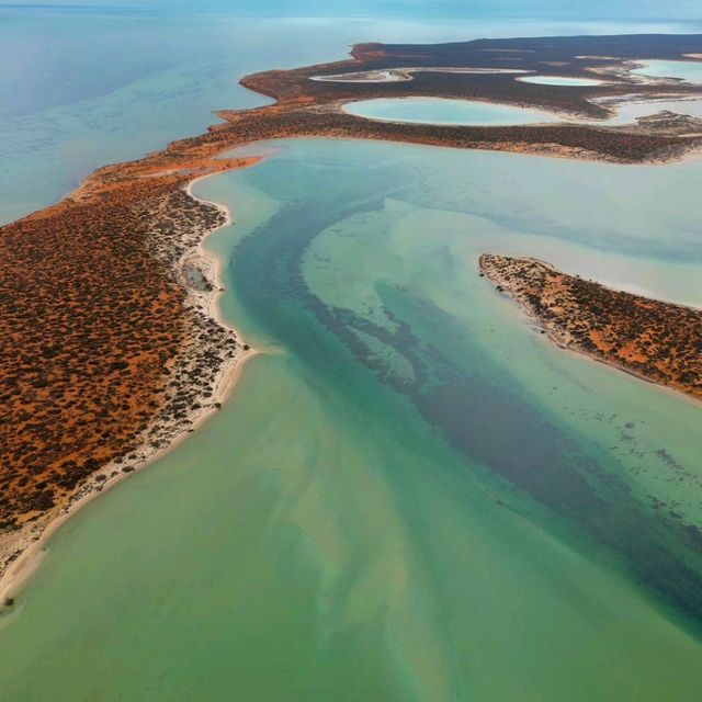 Wonders of Shark Bay World Heritage Area 🇦🇺🦈