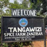 Spice farm exploration in Zanzibar 