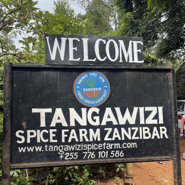 Spice farm exploration in Zanzibar 