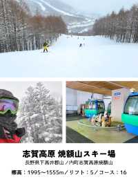 【長野】スキー場「野沢～志賀高原エリア」おすすめ 5選