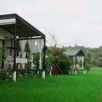 พักผ่อนนอนเล่นกลางทุ่งนา Viewna Litle Home น่าน