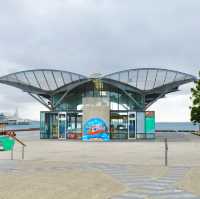 걷기만해도 마음이 차분해지는 곳, 호주 질롱의 스팅가리만 - The Pier Geelong
