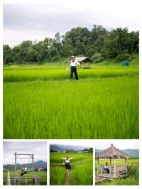 ปัวน่าฝน มันดียังไง