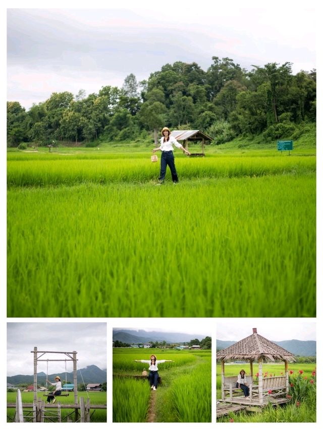 ปัวน่าฝน มันดียังไง
