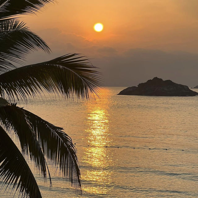 Relaxing on the island 🏝️ 