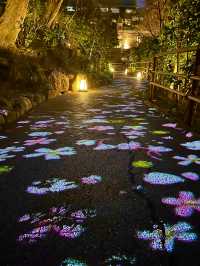 〜東京都〜行って欲しい！光のアート桜小路🌸