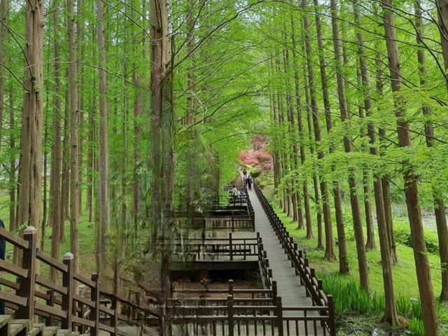 대통령들의 별장(휴양지)🏕 에서 시민들의 휴식처가 된 이 곳 