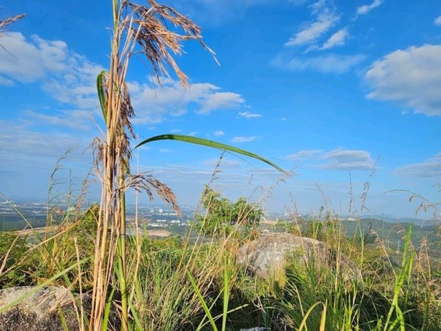 Broga Hill Park