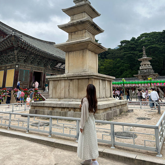 여름 햇살 속 불국사, 자연과 역사의 청량한 만남 즐기러 GO🏃‍♀️💨