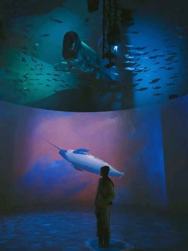 真心推薦的水族館