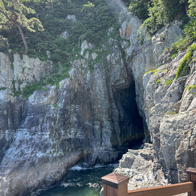 여름 여수여행의 꽃, 힐링 그 자체인 오동도🌺 용굴이랑 음악분수 앞 인생샷은 필수!