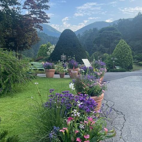 Theme Visit to the Garden of Morning Calm 🇰🇷
