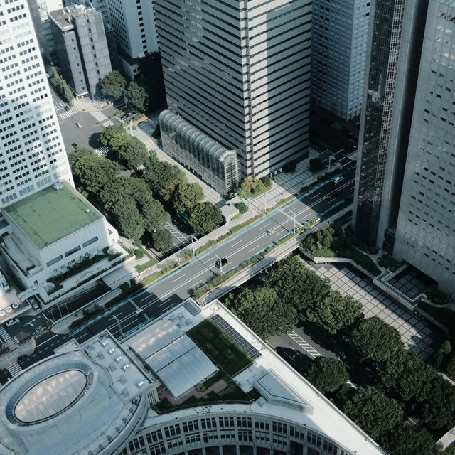 【東京】新宿の無料展望台から見るスカイツリーが絶景だった🏙