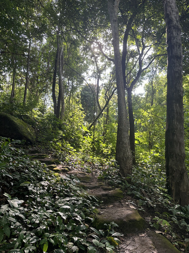 พิกัดเดินป่า ทางเข้าไปชมน้ำตก อุทยานภูผายล สกลนคร