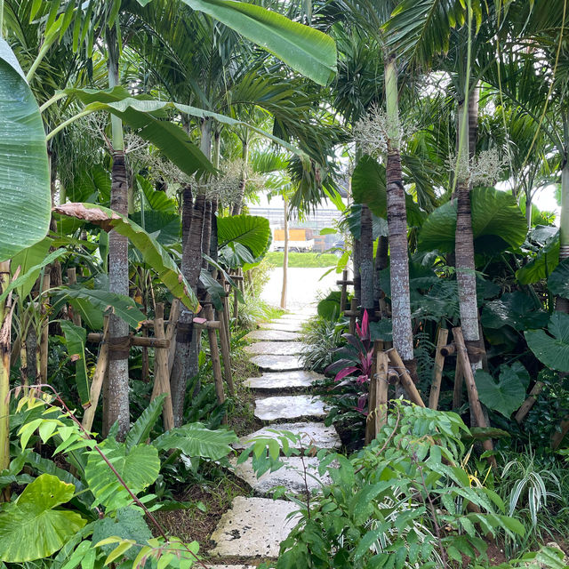 【宮古島】南国風の超おしゃれカフェ☕️🌺🌴