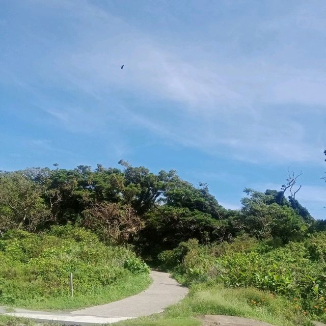 千葉房総半島