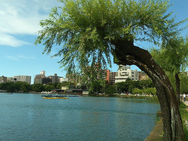 福岡旅行：大濠公園行下好relax