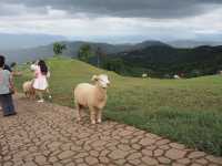 📍 Akha FarmVille จ.เชียงราย