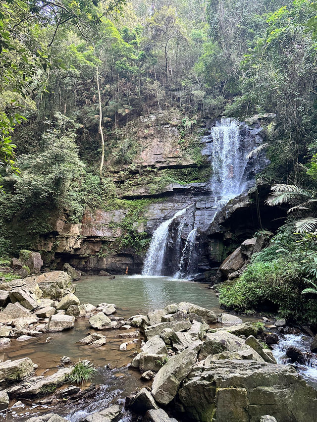 南投魚池鄉-澀水森林步道