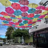 Ecuador – Wildlife Wonderland