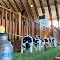 【北海道】自慢の農場から特製プリン
