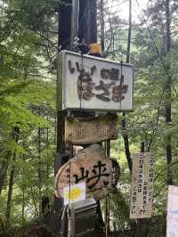 岐阜　絶景✨エメラルドグリーンの川🏞️