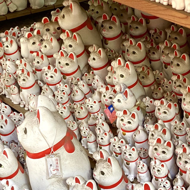 日本ㅣ東京ㅣ豪德寺ㅣ達願千貓神社/招財貓史祖