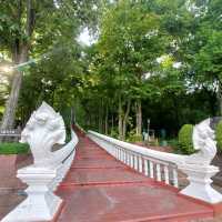 ป่าในเมือง ณ เขากระโดง บุรีรัมย์
