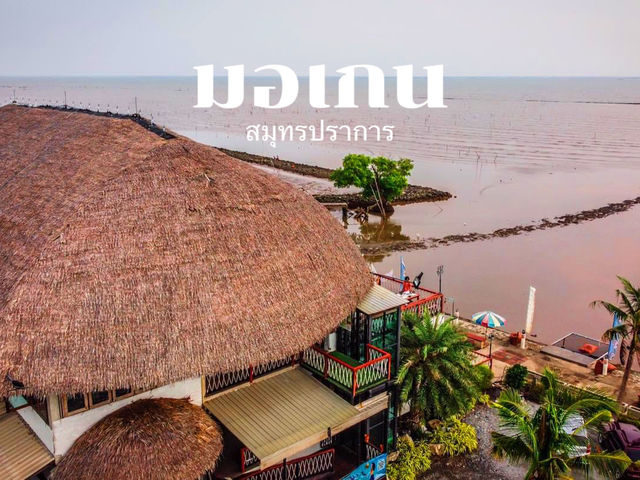 ร้านอาหารซีฟู๊ดฟลีบาหลี 