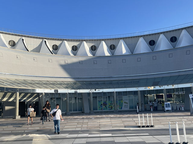 マリンワールド海の中道🐬💙🦦🐟