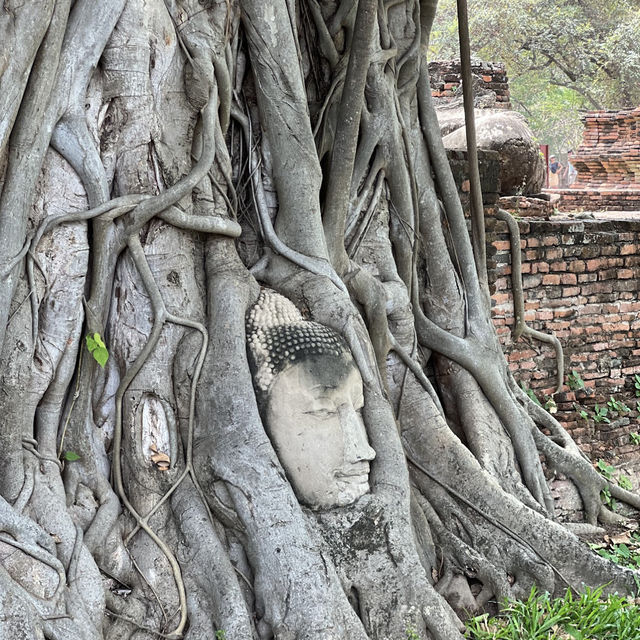 Step Back in Time at Ayutthaya’s Ancient Ruins