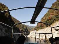 [德島] 大步危峽谷的遊船