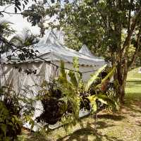 "Nature’s Retreat: Discovering the Jelebu Campsite"