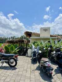 Cafe surrounded Ubud rice fields🌾