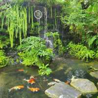 ใกล้บ้าน • In The Garden ~ คาเฟ่ในสวน