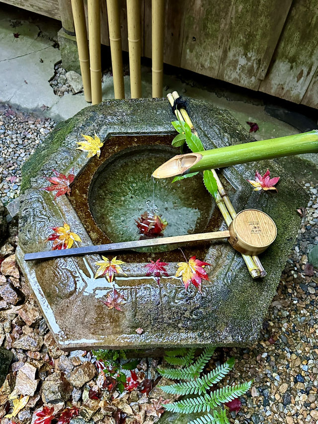 【京都紅葉】とても綺麗な花手水がたくさんあるお寺！