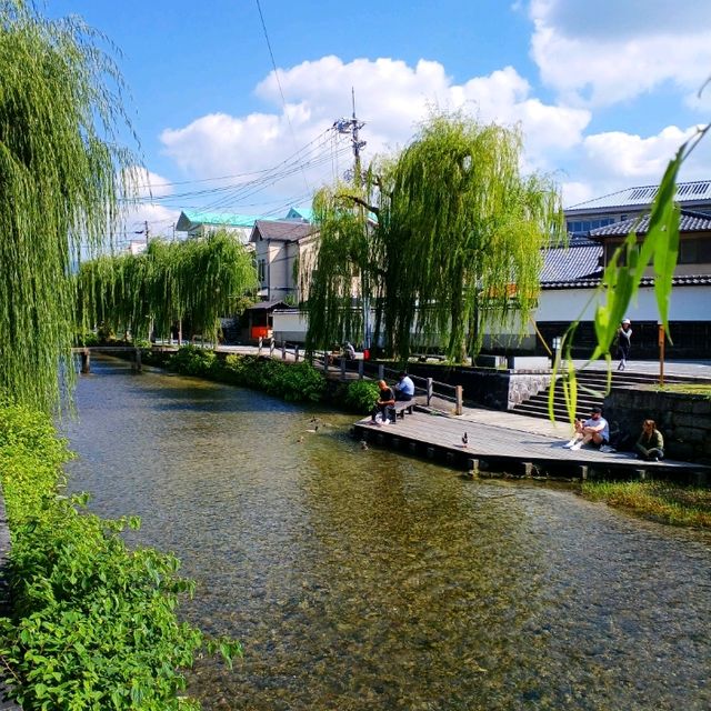 【京都】昭和レトロな商店街と白川一本橋を散策