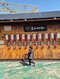 Colourful Gamcheon Cultural Village 🇰🇷